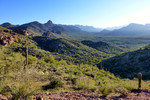 photo thumbnail #8