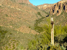 photo thumbnail #10