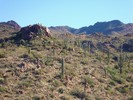 photo thumbnail #4