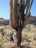 photo thumbnail #6