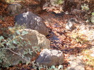 photo thumbnail #13