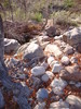 photo thumbnail #15