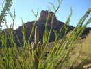 2014-01-13 :3: Charlebois from Peralta via Dutchman Trail :: vanman