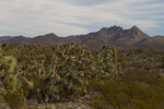 photo thumbnail #2