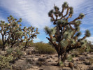photo thumbnail #3