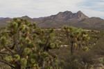 photo thumbnail #10