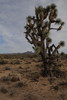 photo thumbnail #15