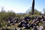 photo thumbnail #1