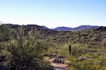photo thumbnail #4