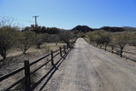 photo thumbnail #2