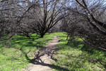 photo thumbnail #10