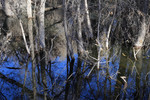photo thumbnail #12