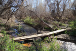 photo thumbnail #13