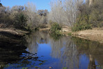 photo thumbnail #15
