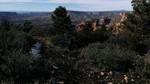 photo thumbnail #15