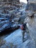 photo thumbnail #7