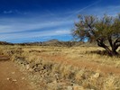 photo thumbnail #1