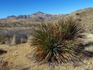 photo thumbnail #13
