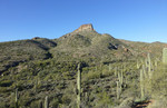photo thumbnail #2