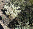 photo thumbnail #7