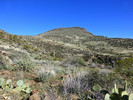photo thumbnail #11