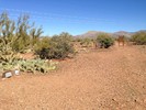 photo thumbnail #7