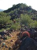 photo thumbnail #6