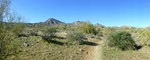 photo thumbnail #3