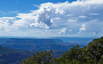 Featured Full Photo