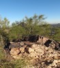 photo thumbnail #2