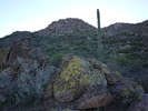 photo thumbnail #2