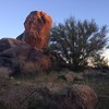 photo thumbnail #7
