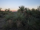 photo thumbnail #11