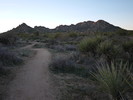 photo thumbnail #12