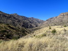 photo thumbnail #2