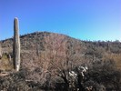photo thumbnail #12
