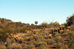 photo thumbnail #2