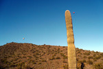 photo thumbnail #3