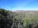 photo thumbnail #5