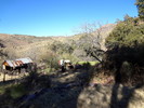 2014-01-18 :1: Club Cabin from Davenport West :: joebartels