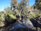 2014-01-18 :1: Club Cabin from Davenport West :: joebartels