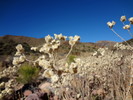 photo thumbnail #14