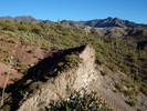 photo thumbnail #15