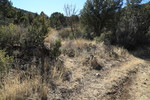 photo thumbnail #2