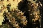 photo thumbnail #9