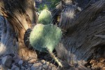 photo thumbnail #14