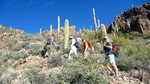 photo thumbnail #2
