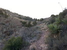 photo thumbnail #5