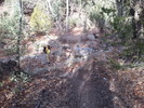 photo thumbnail #11