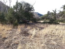 photo thumbnail #14